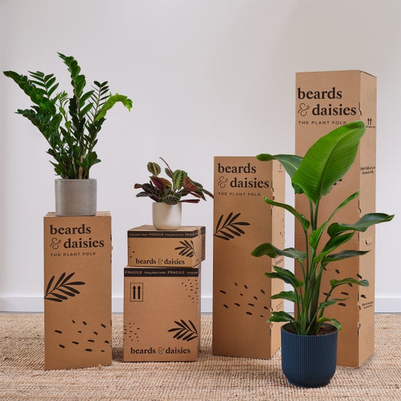 Artificial Bird of Paradise Flowering Plant
