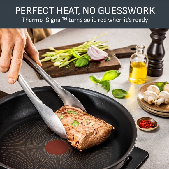 Tefal Titanium Excellence Plus 5 Piece Pan Set